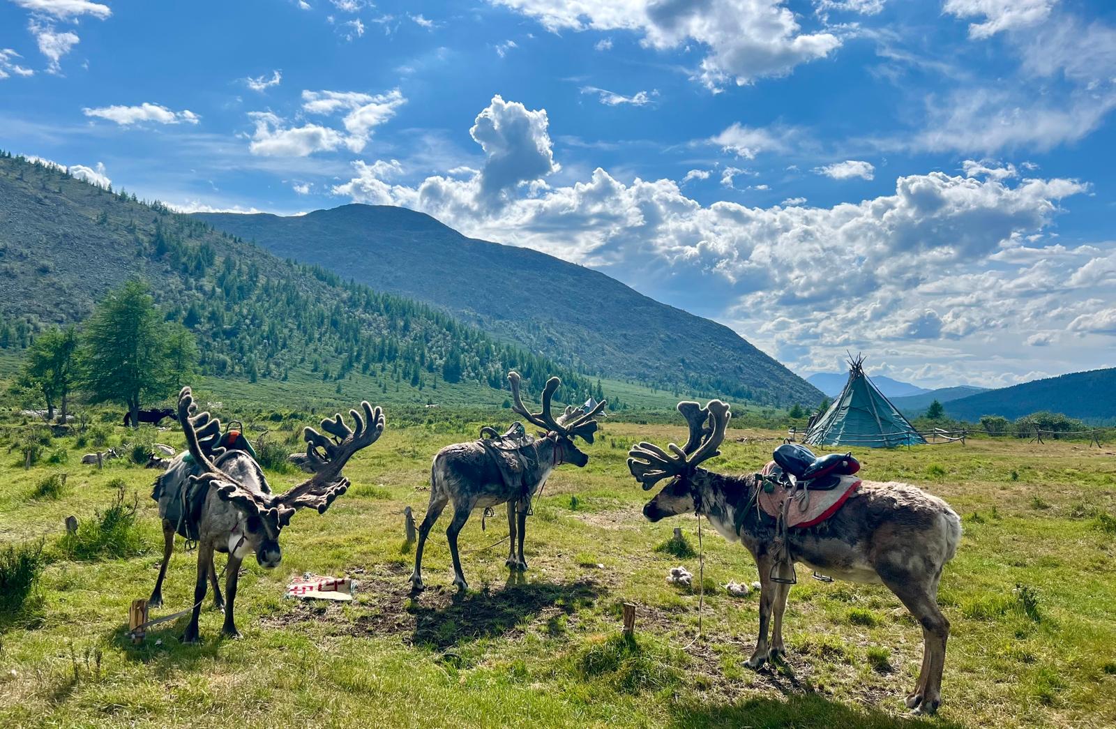 The Blue Pearl of the North